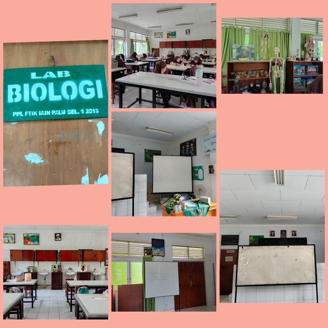 Laboratorium Biologi